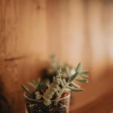 Bueyuekada Loc'ada *